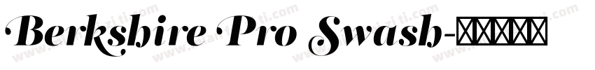 Berkshire Pro Swash字体转换